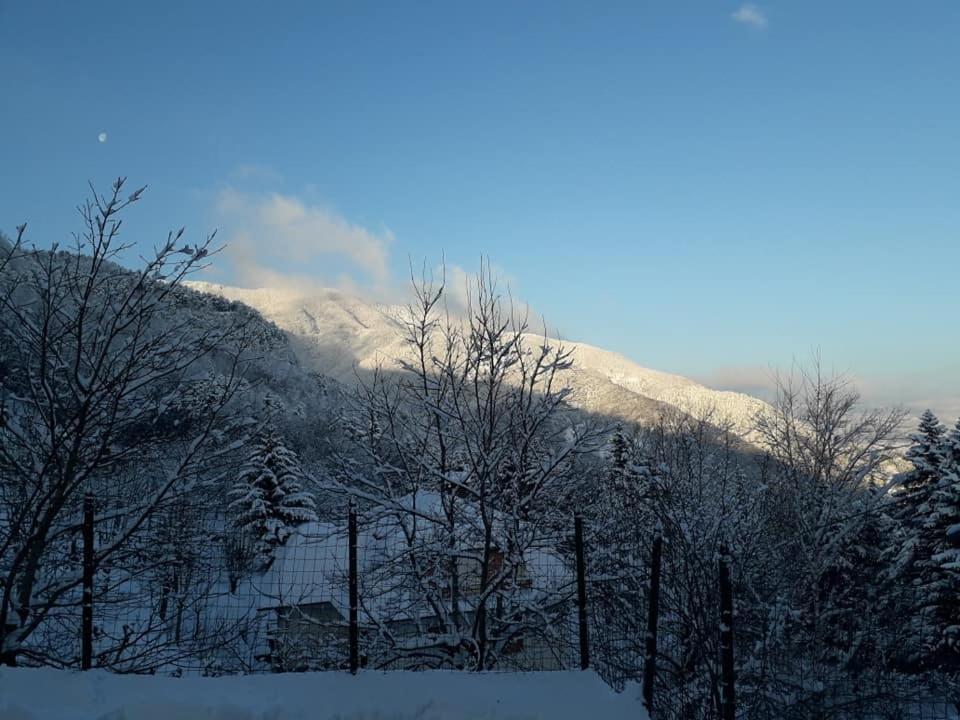 Albergo Capriolo Sestola Luaran gambar